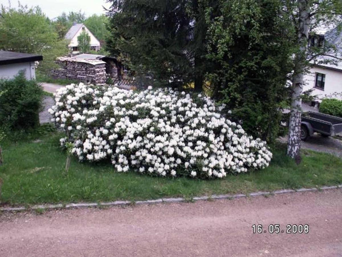 Ferienhaus Ferien Am Waldrand Altenberg المظهر الخارجي الصورة